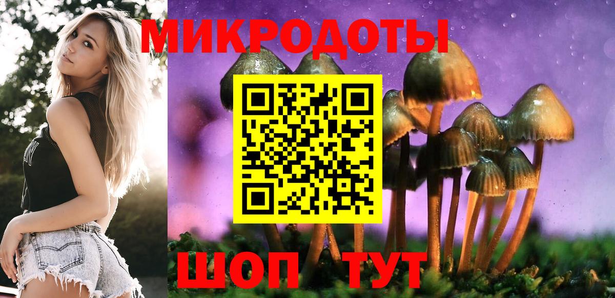 Псилоцибиновые грибы мицелий Санкт-Петербург